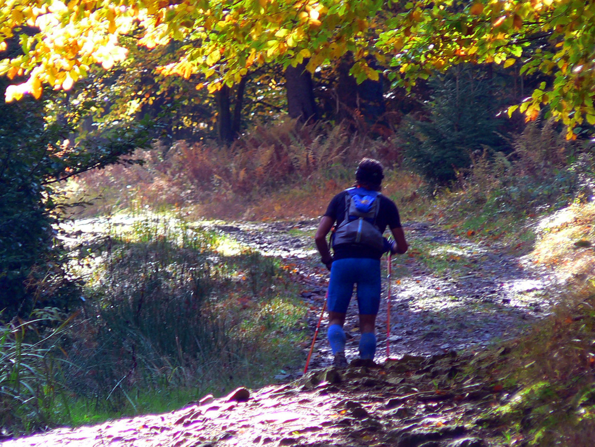 javornicka-stovka-2017